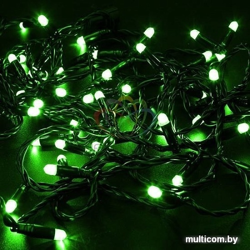 Гирлянда Neon-night Нить 305-274, 230В