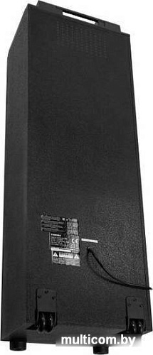Колонка для вечеринок Toshiba TY-ASC402