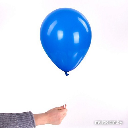 Набор воздушных шаров Золотая сказка 105013 (10 шт, 5 цв)