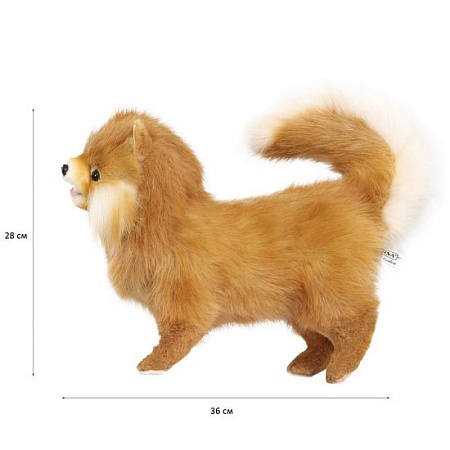 Классическая игрушка Hansa Сreation Померанский шпиц 7018 (28 см)