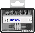 Набор бит Bosch Robust Line 2607002563 13 предметов