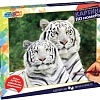 Картина по номерам MultiArt Белые тигры CANV40X50-WHITETIG