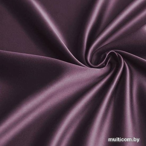 Комплект штор Pasionaria Блэкаут 340x270 с подхватами (фиолетовый)