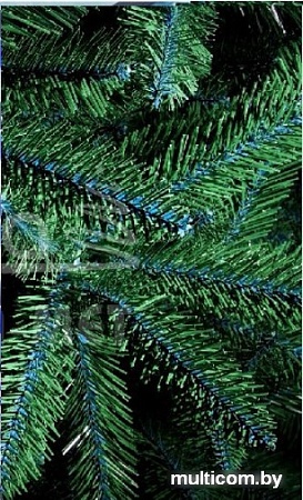 Ель Maxy Poland Рената 2 м