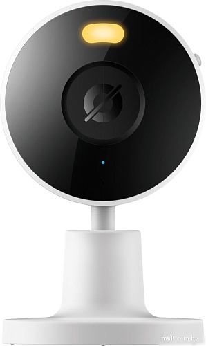 IP-камера Xiaomi Smart Camera C100 MJSXJ25CM (международная версия)