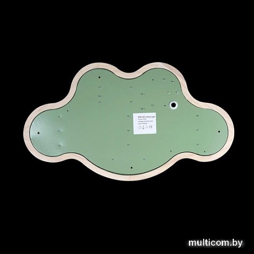 Люстра-тарелка LOFT IT Axel 10005/30 Green