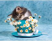 Алмазная мозаика Darvish Сладкий сон DV-9512-14