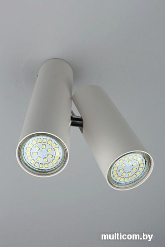 Спот Aployt Aksel APL.006.02.02