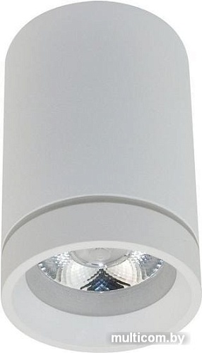 Точечный светильник Aployt Edda APL.0053.09.10