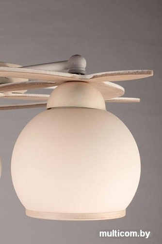 Припотолочная люстра Omnilux Fronteira OML-50517-05