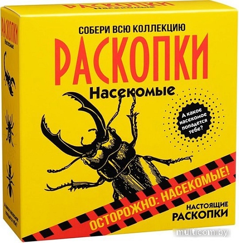 Набор для опытов Bumbaram Раскопки. Насекомые dig-19