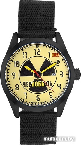 Наручные часы Спецназ Атака С2864464-2115-09