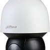 IP-камера Dahua DH-SD5A225GB-HNR