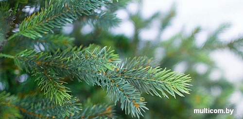 Ель Green Trees Грацио премиум 1.8 м