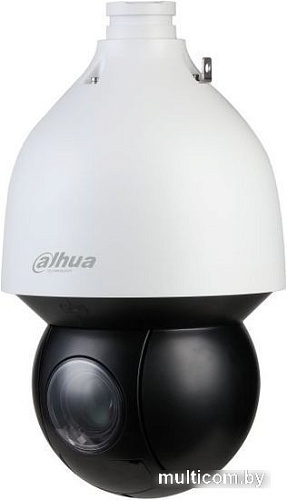 IP-камера Dahua DH-SD5A225GB-HNR