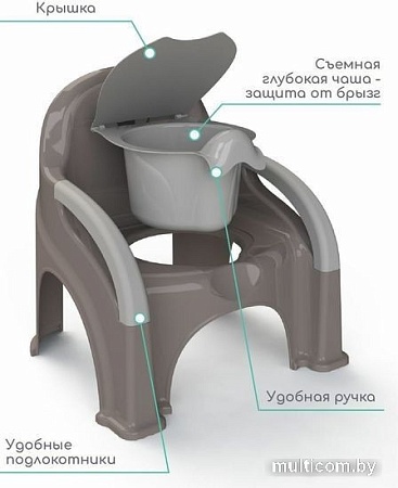 Детский горшок Amarobaby Baby chair AB221105BCh/11 (серый)