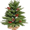 Ель Winter Time XC02-131T 0.6 м