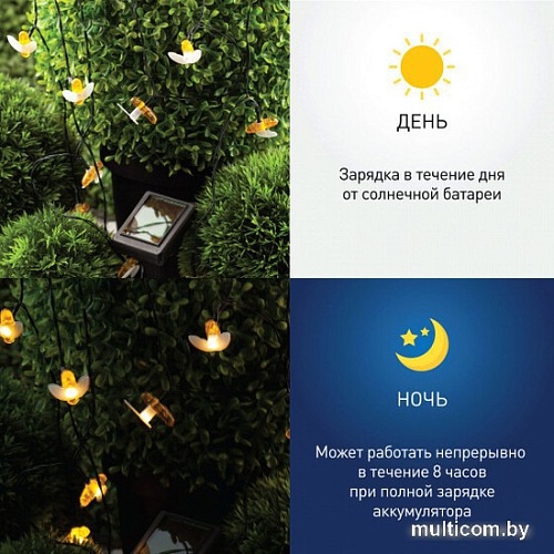 Разветвитель для гирлянд ЭРА ERAPS-K800