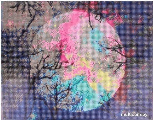 Алмазная мозаика Darvish Луна DV-9518-11