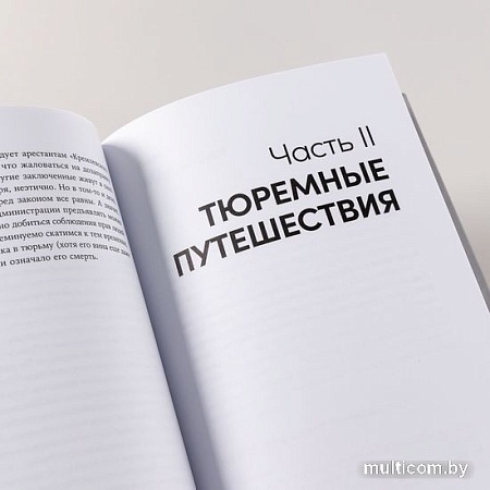 Книга издательства Альпина Паблишер. Кому на Руси сидеть хорошо (Меркачева Е.)
