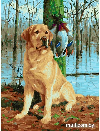 Картина по номерам Белоснежка Охота на уток 968-AS