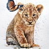 Картина по номерам Рыжий кот Пугливый львенок Х-4030
