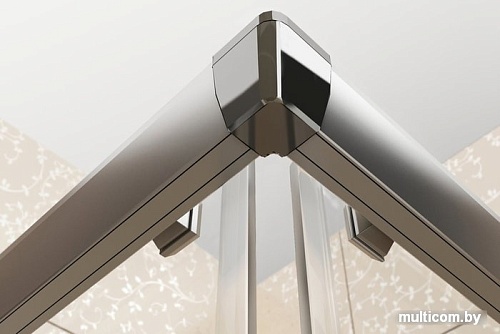 Душевая дверь Ravak Blix BLDP2 100 (серебристый/прозрачное)