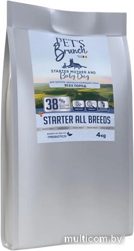 Сухой корм для собак Pet's Brunch Starter для щенков и кормящих с говядиной 4 кг
