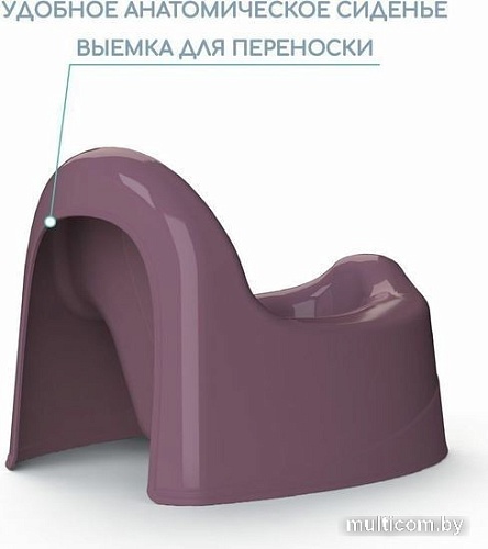 Детский горшок Amarobaby Elect AB221101El/22 (фиолетовый)