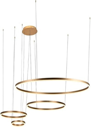 Подвесная люстра LOFT IT Ring 10017/4S