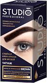 Краска для бровей Studio Professional с эффектом татуажа (темно-коричневый)