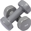 Набор гантелей Indigo 92005 IR 2x3 кг (серый)