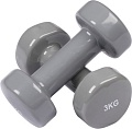 Набор гантелей Indigo 92005 IR 2x3 кг (серый)