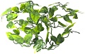 Искусственное растение Lucky Reptile Philo Vine LP-71