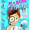 Набор для опытов Bondibon Науки с Буки Модель глаза ВВ1179