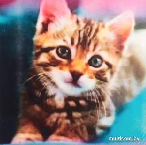 Алмазная мозаика Darvish Милый котенок DV-13760-21