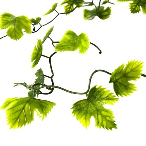 Искусственное растение Lucky Reptile Gape Leaf Vine LP-73
