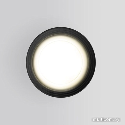 Уличный накладной светильник Elektrostandard Light 2101 35128/H (серый)