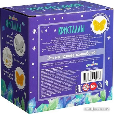 Набор для опытов Bumbaram Кристаллы. Сказочная бабочка желтая A125