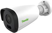 IP-камера Tiandy TC-C34GN I5/E/Y/C/2.8mm/V4.2