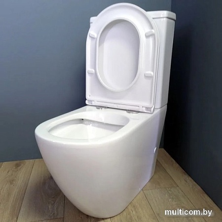 Унитаз напольный Teymi Lina T40103