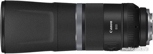 Canon RF 800mm f/11 IS STM