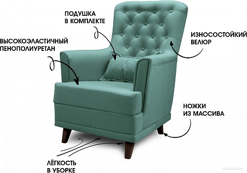 Интерьерное кресло Mio Tesoro Каприз (Velutto 43/шоколад)