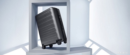 Чемодан-спиннер 90 Ninetygo Rhine Pro Luggage 20 (розовый)