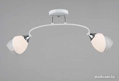 Припотолочная люстра Aitin Pro НПБ 02-2x60-101 C1693/2 (белый/хром)