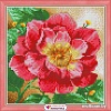Алмазная мозаика Алмазная Живопись Цветущий пион АЖ-1444
