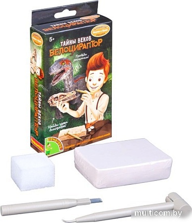 Набор для опытов Bondibon Науки с Буки. Тайны веков. Велоцираптор ВВ4786