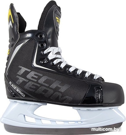 Коньки Tech Team Black Wings (р. 38)