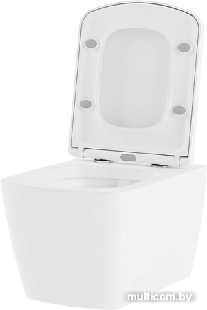 Унитаз Lavinia Boho Relfix Aveo Rimless 6 в 1 77050209 (белый пластик)