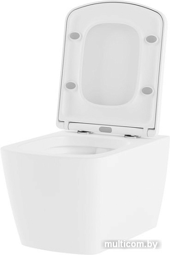 Унитаз Lavinia Boho Relfix Aveo Rimless 6 в 1 77050209 (белый пластик)